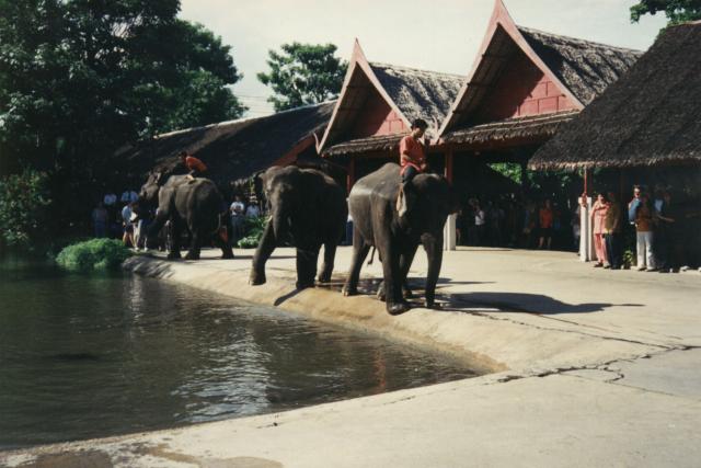 indonesia0199