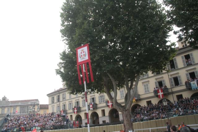 palio 2011 115