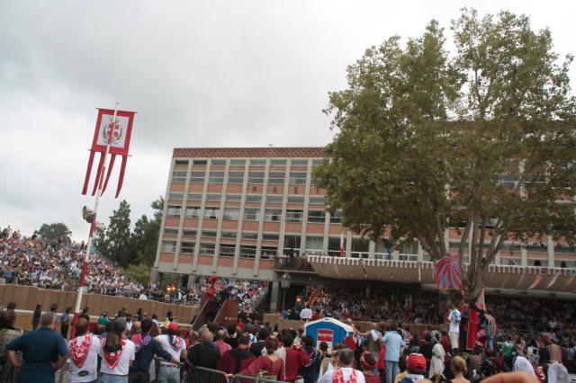 palio 2011 118