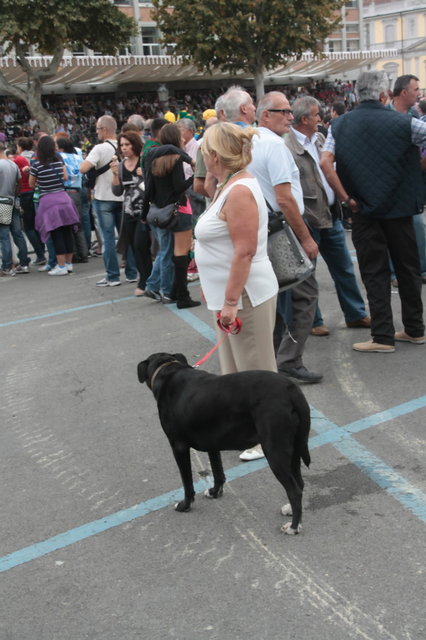 palio 2011 127