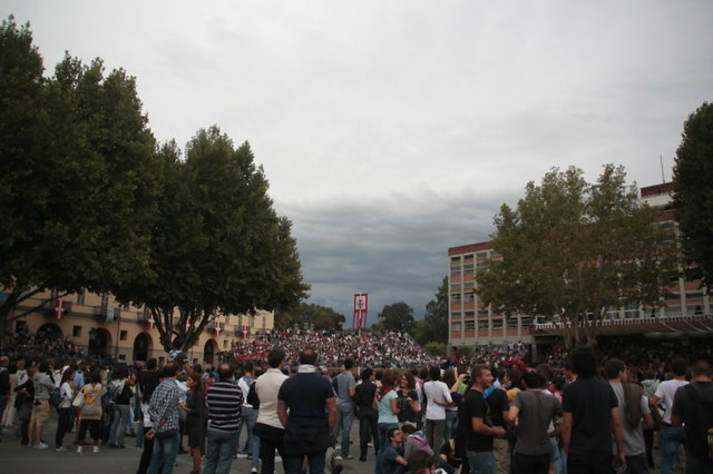 palio 2011 135