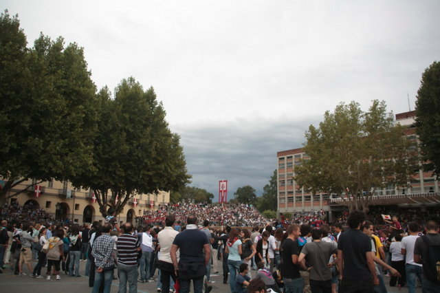 palio 2011 136