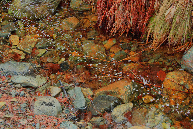 hdr torrente