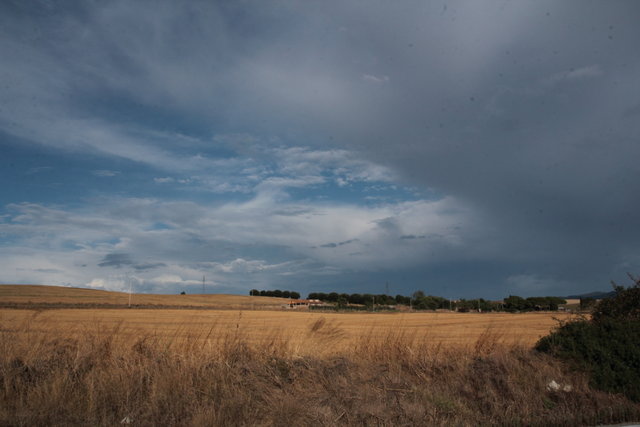 verso maremma 14