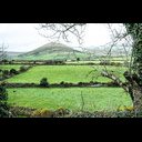 Tralee-35