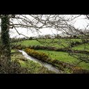 Tralee-36