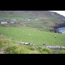 Dingle Peninsula-31