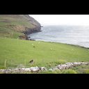 Dingle Peninsula-32